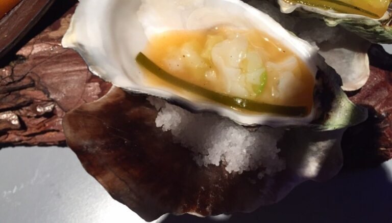 Sollo, Diego Gallegos