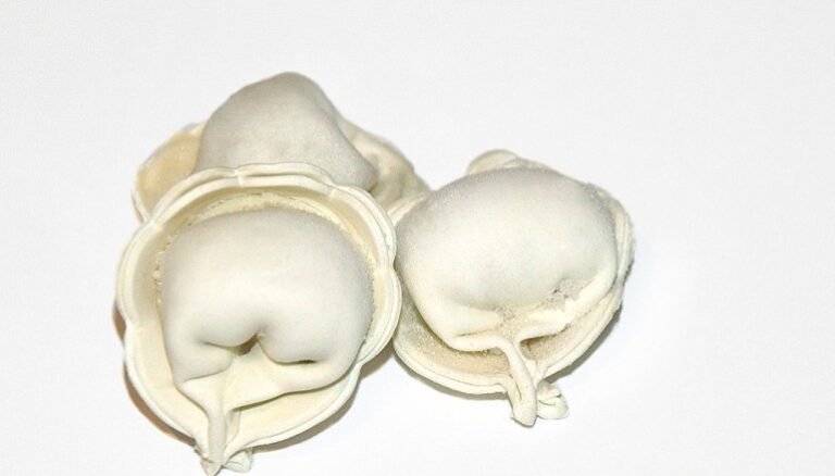 Tortellini de leche, postre de la mamma